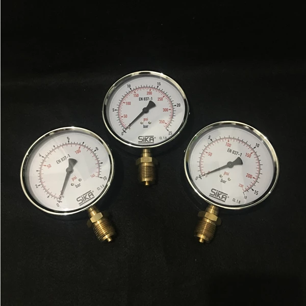 Sika Pressure Gauge (4" Dial, 25 Bar)